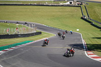 brands-hatch-photographs;brands-no-limits-trackday;cadwell-trackday-photographs;enduro-digital-images;event-digital-images;eventdigitalimages;no-limits-trackdays;peter-wileman-photography;racing-digital-images;trackday-digital-images;trackday-photos